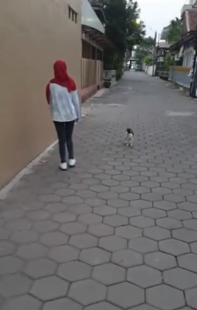 vlog open BO hijab 4